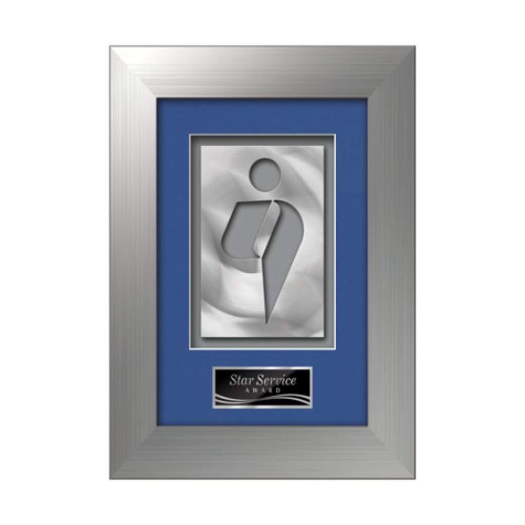 Premier Aquashape™ Award - Silver 4
