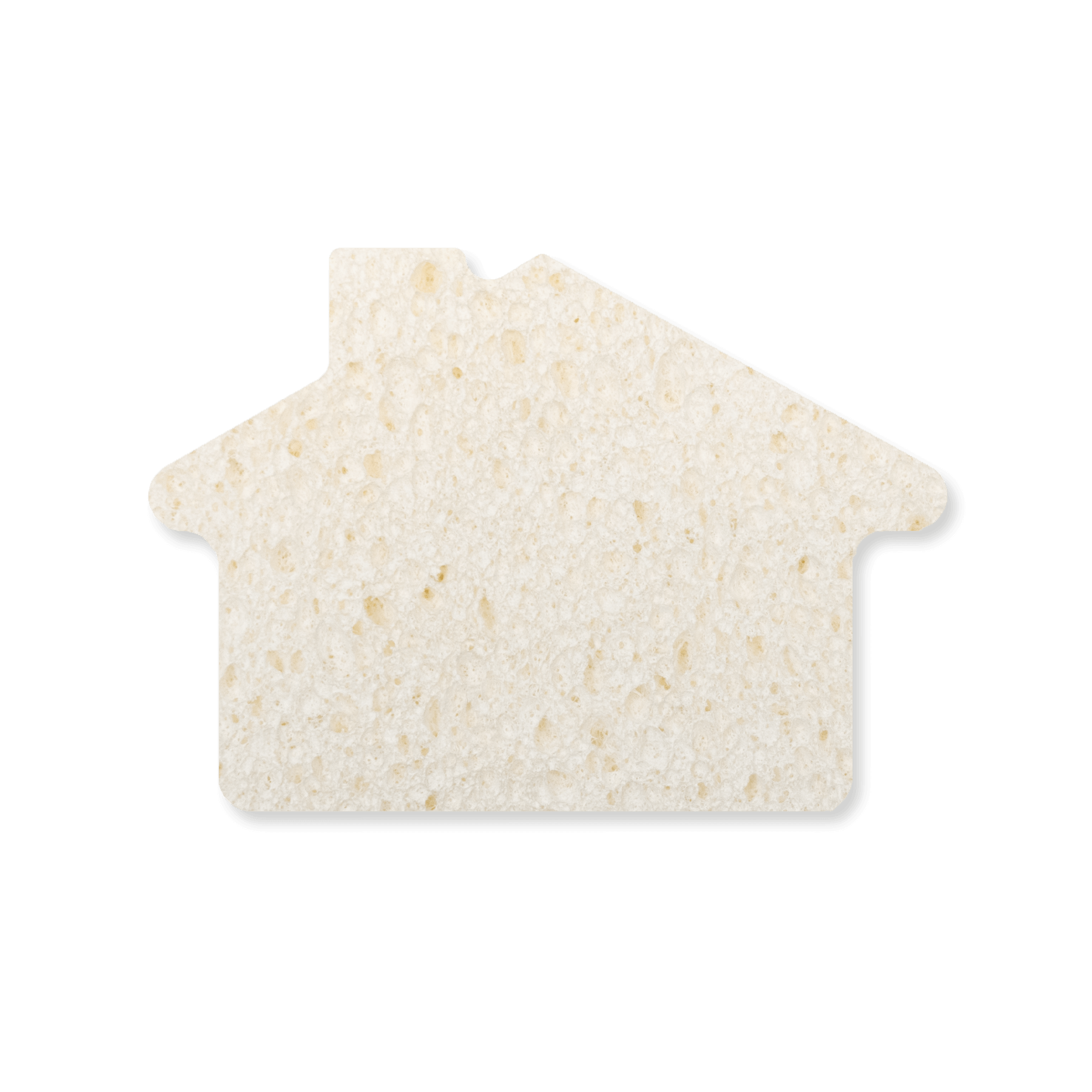 Expand-It Sponge - House 5
