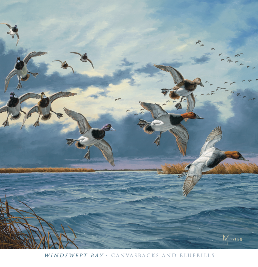 HotLine® Products David Maass Executive Calendar 13