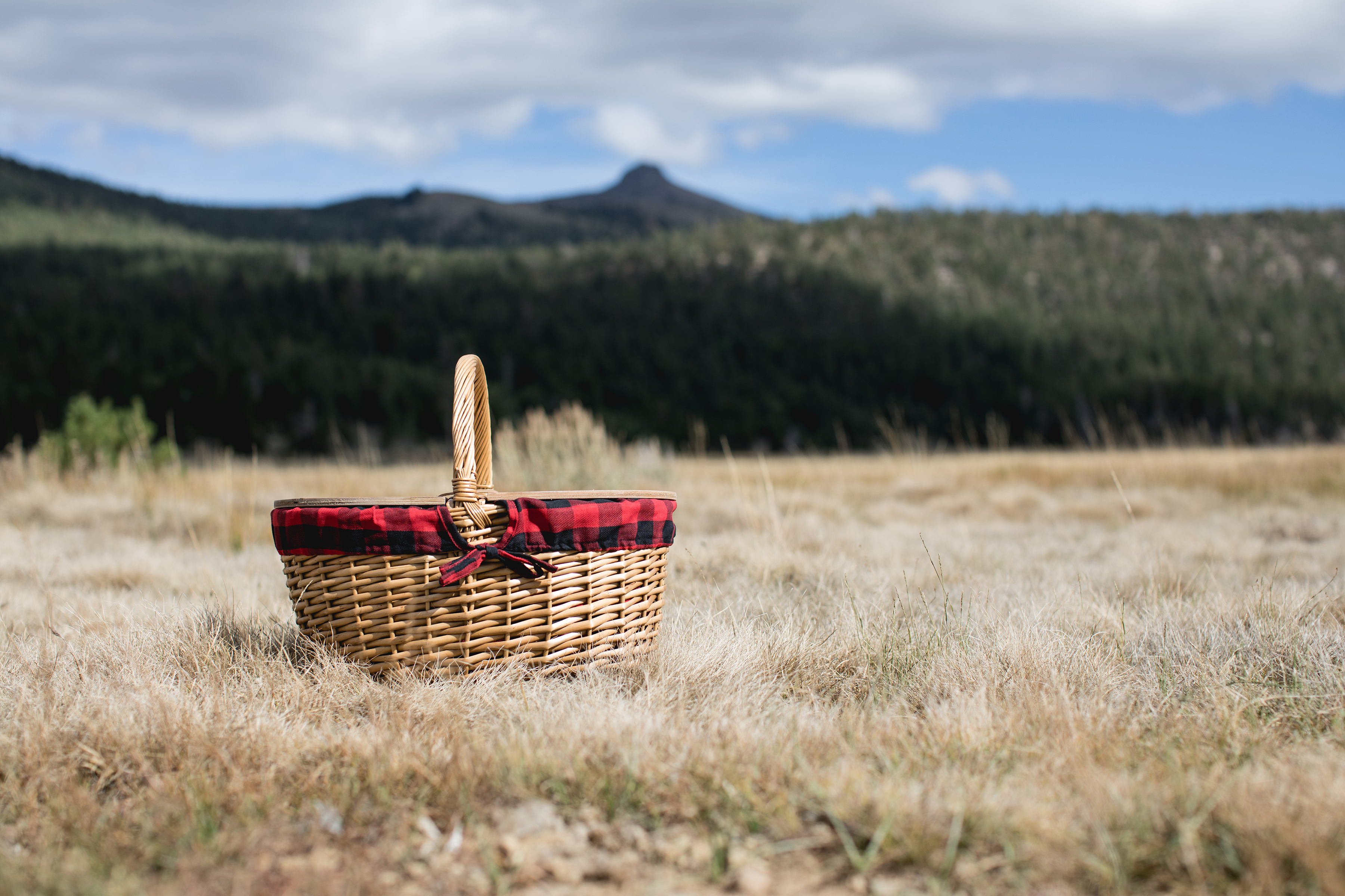 Country Picnic Basket 7