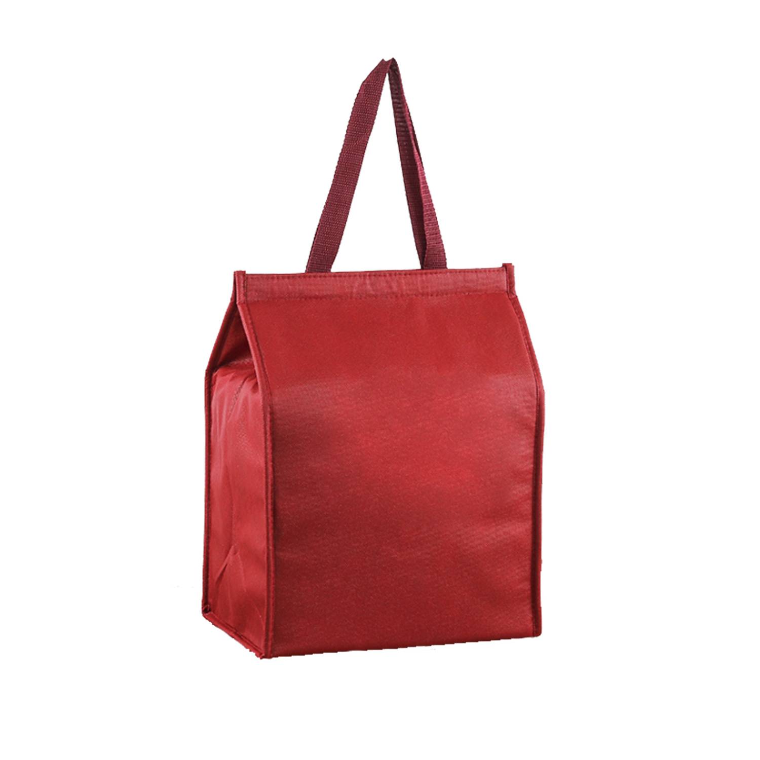 Picnic Insulation Cooler Bag 4
