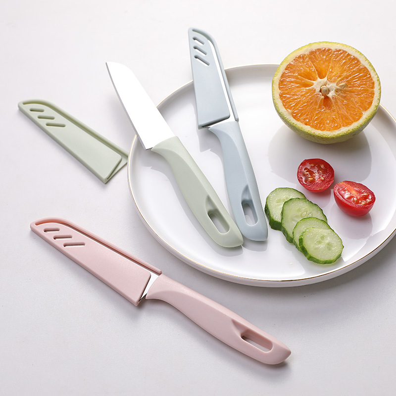 Stainless Steel Fruit Knife 4