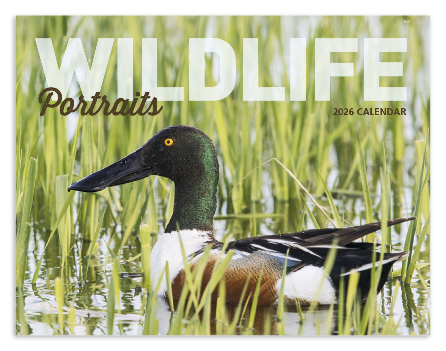 Good Value™ Wildlife Portraits - Window Calendar 43