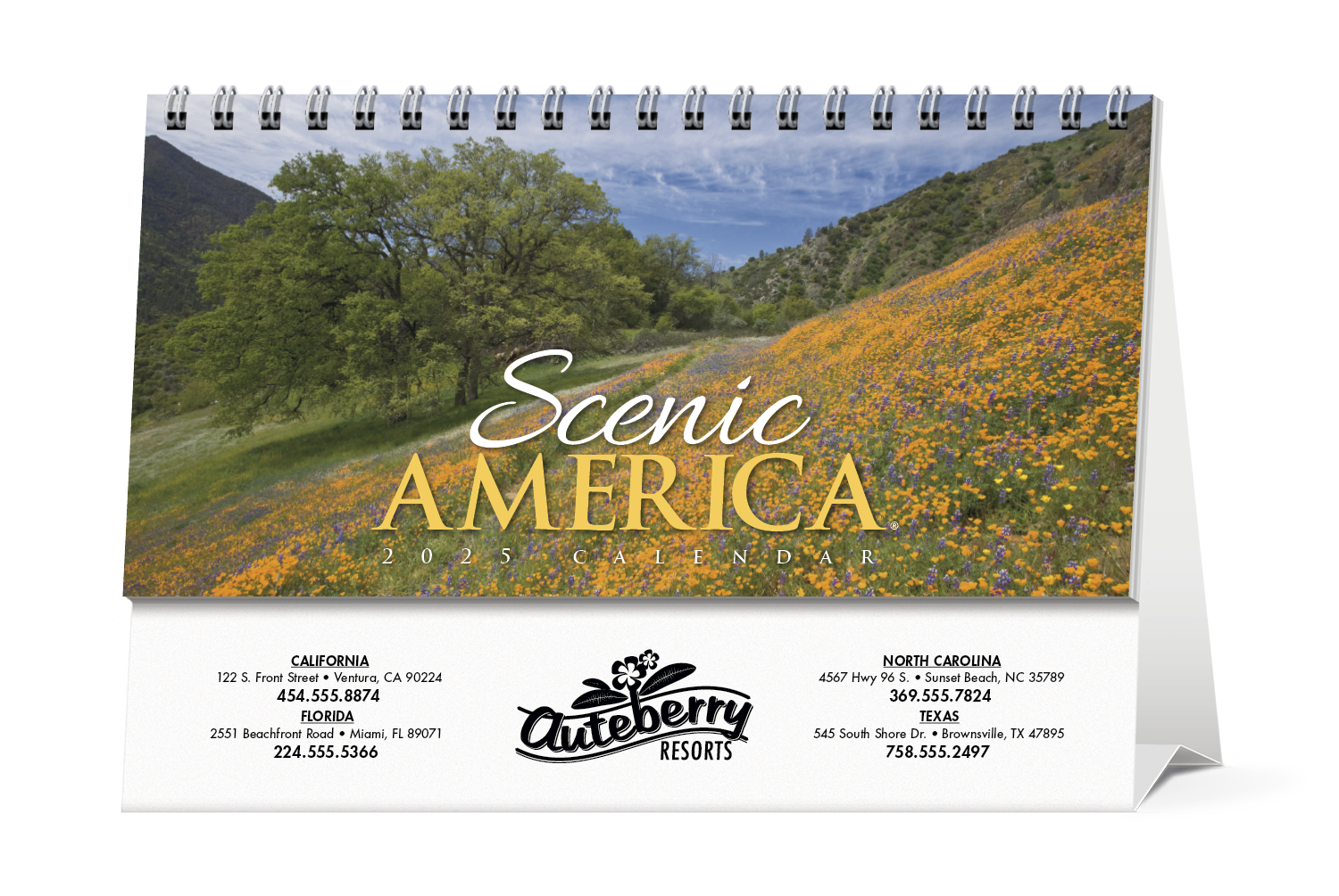 HotLine® Products Scenic America® Desk Tent Calendar 4