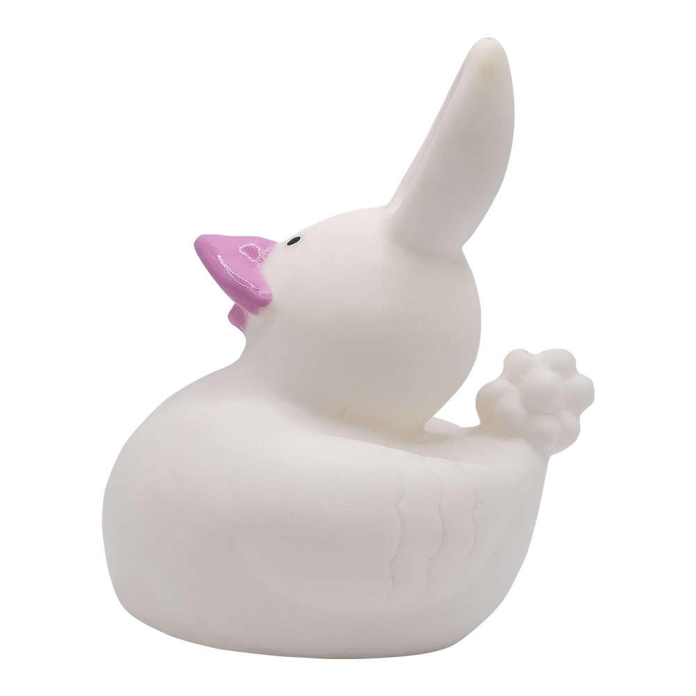 Mini Bunny Duck 6