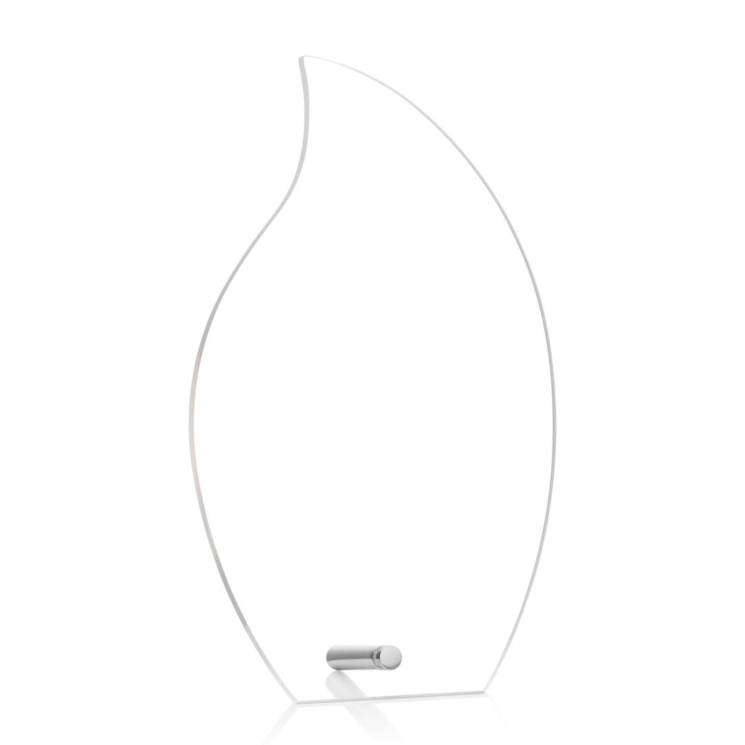Polaris Flame VividPrint™ Award - Silver 2