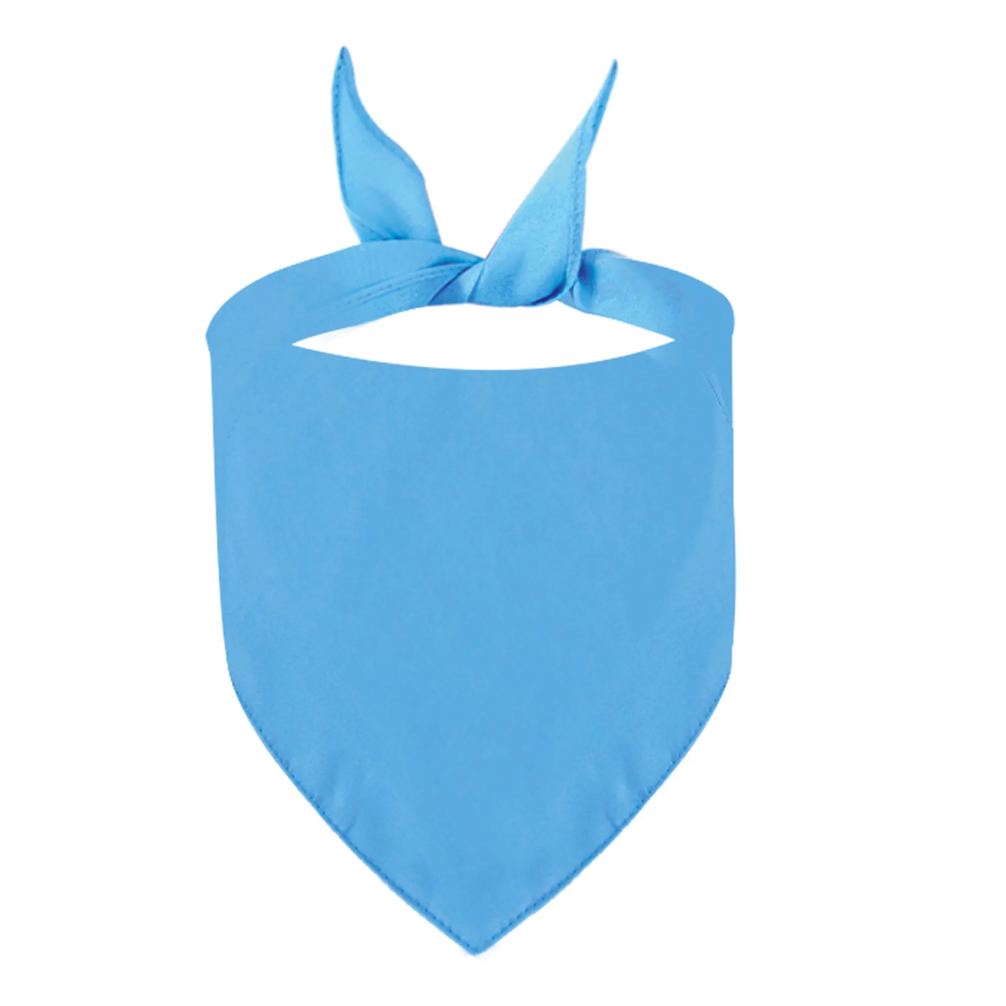 MOQ 20 Polyester Pet Triangle Scarf 2