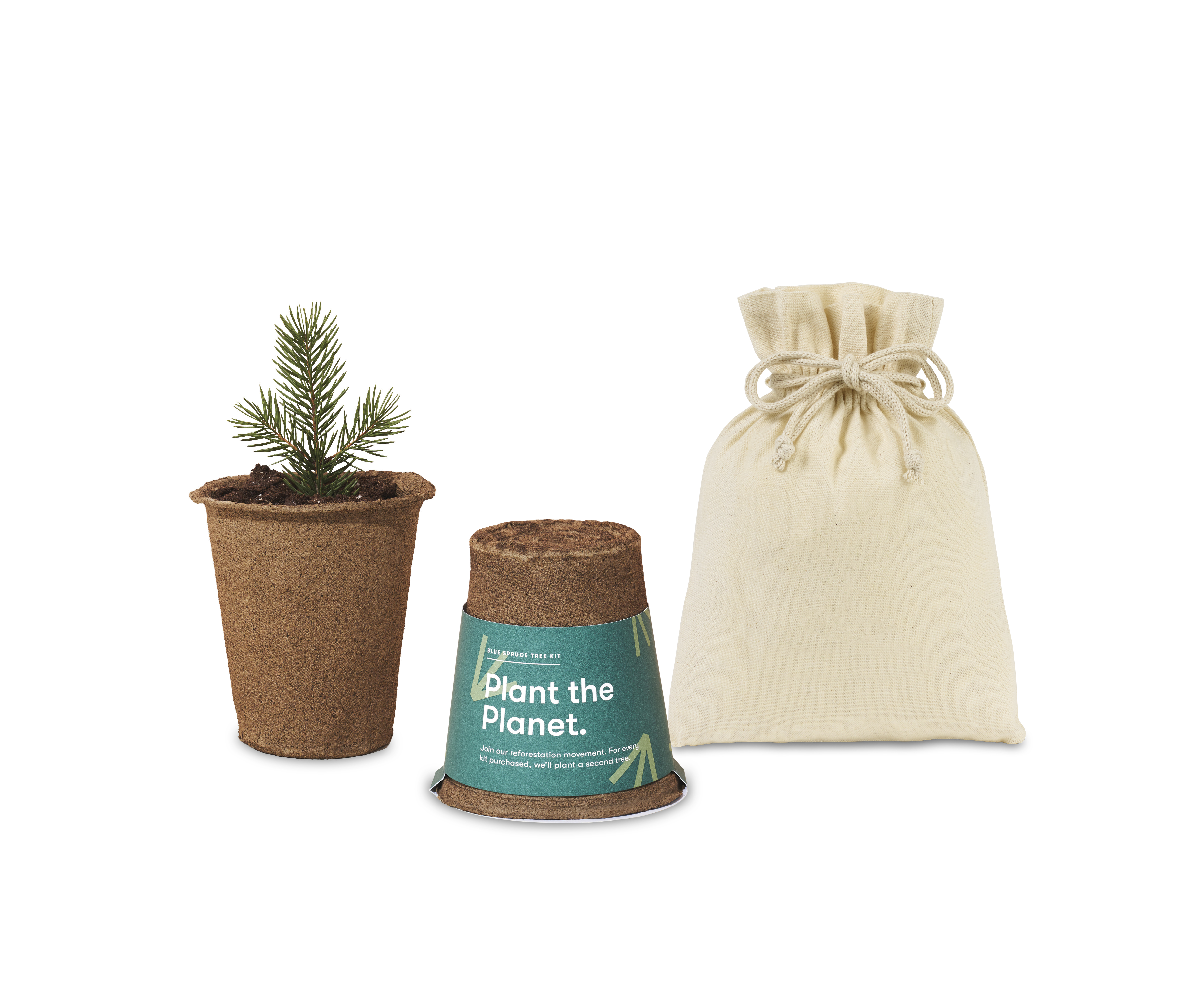 Modern Sprout® One For One Tree Kits