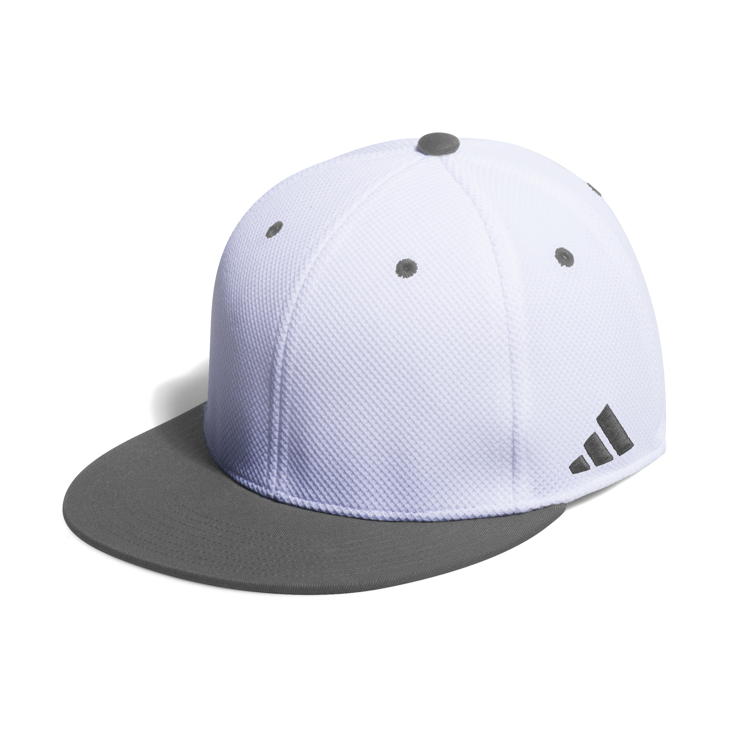 MESH FLAT FLEX CAP 2