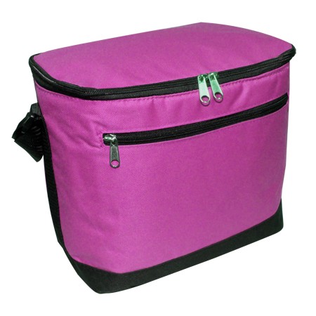 12 Pack Cooler Bag 4