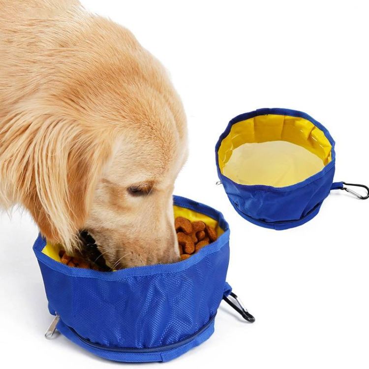 Portable Foldable Dog Bowl 2