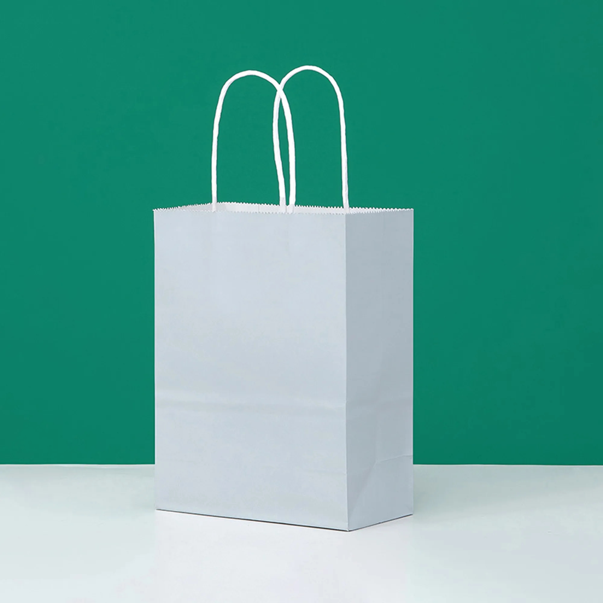 Custom Paper Shopping Bag 1
