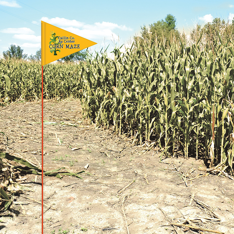 Custom Printed Field Flag - Double Sided 6