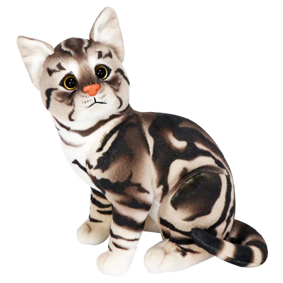 Looking Cats 2