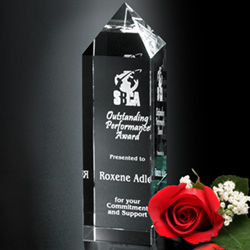 Buckingham Award 6