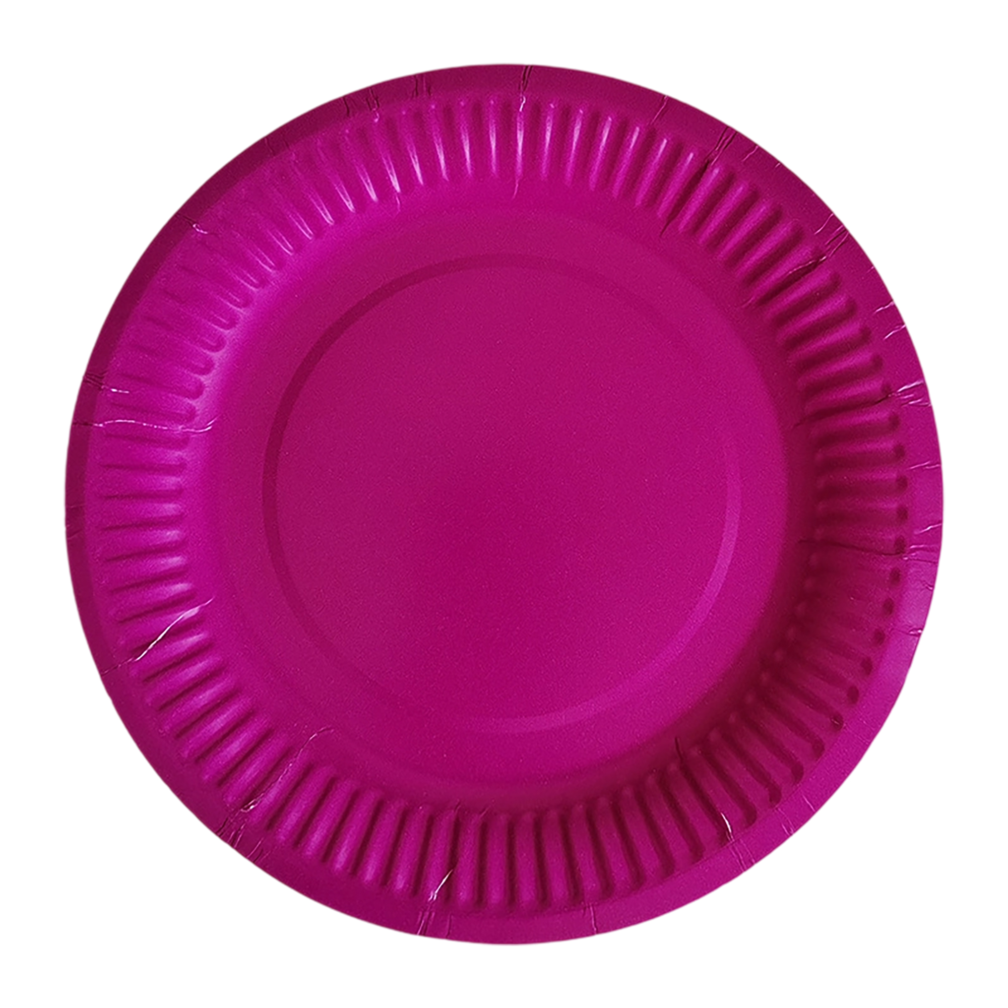 Nine Inch Party Paper Plate Food Safe Disposable 8