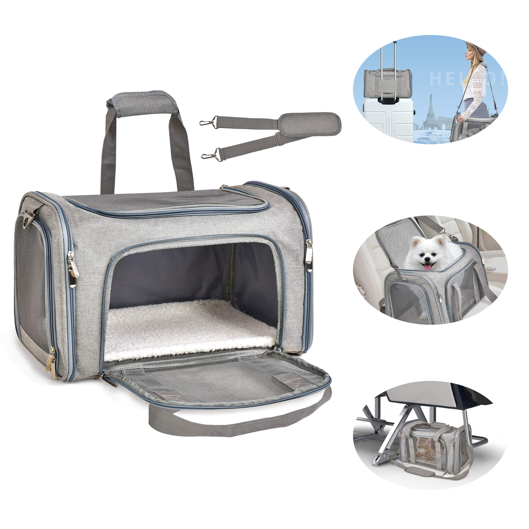 Cat, Dog Carrier 1
