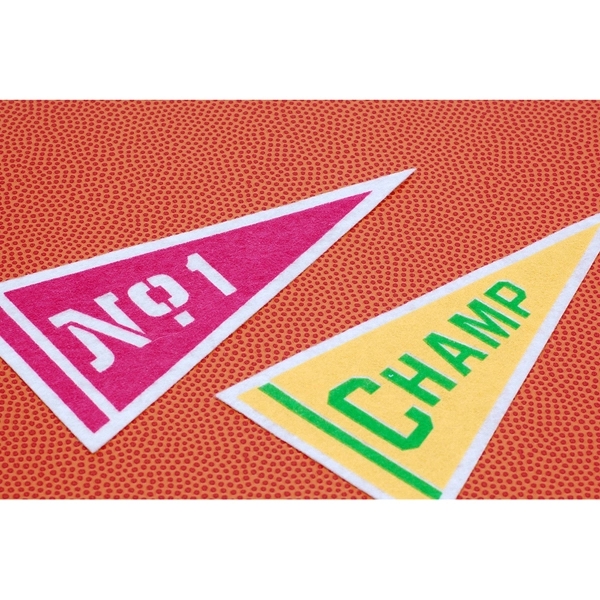 9" x 24" Acrylic Felt Pennant with Wood Pole - Class A 1