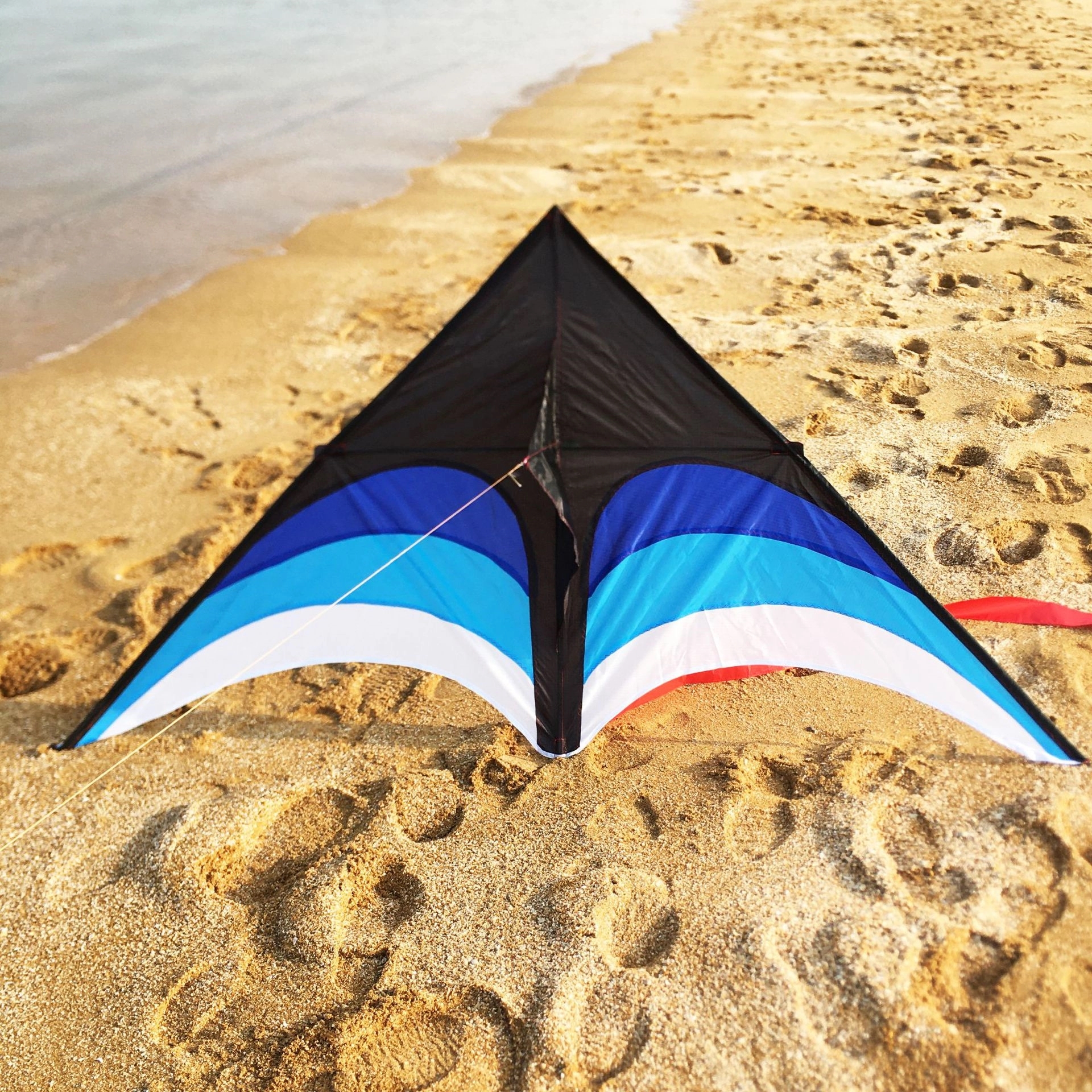 Grand Delta Dancer Kite 4