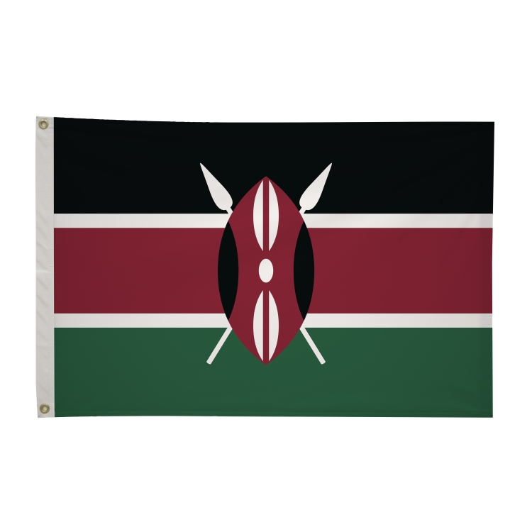 2' x 3'International Flag 328