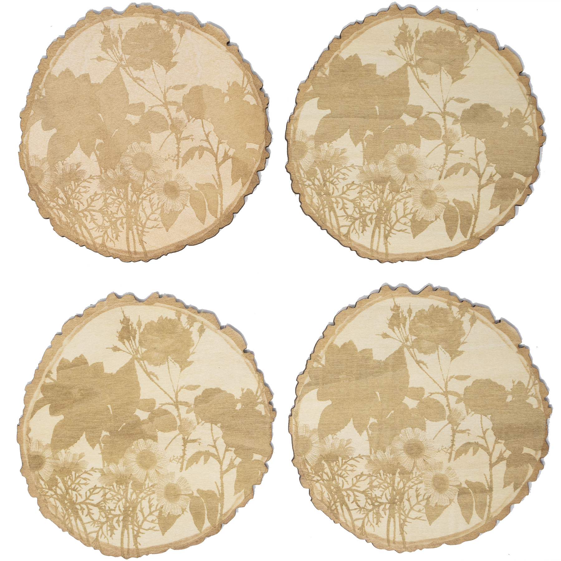 Wood Coasters: Tree Slice 4