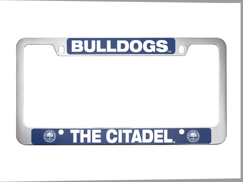 Brushed Zinc and Colored License Frame