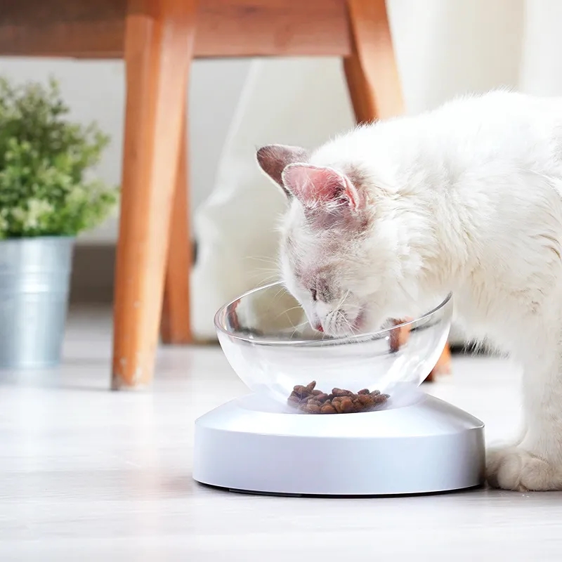 Plastic Pet Bowl 6