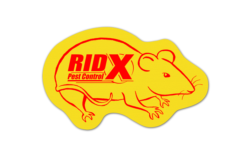 Rat/Mouse Vinyl Jar Opener 25