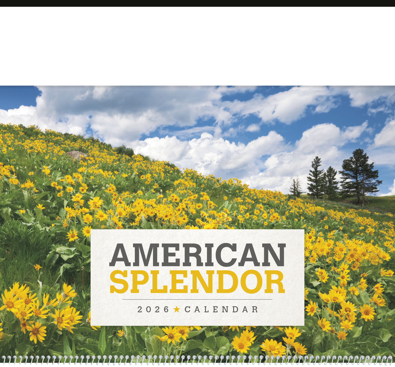 Triumph® Calendars American Splendor Calendar 39