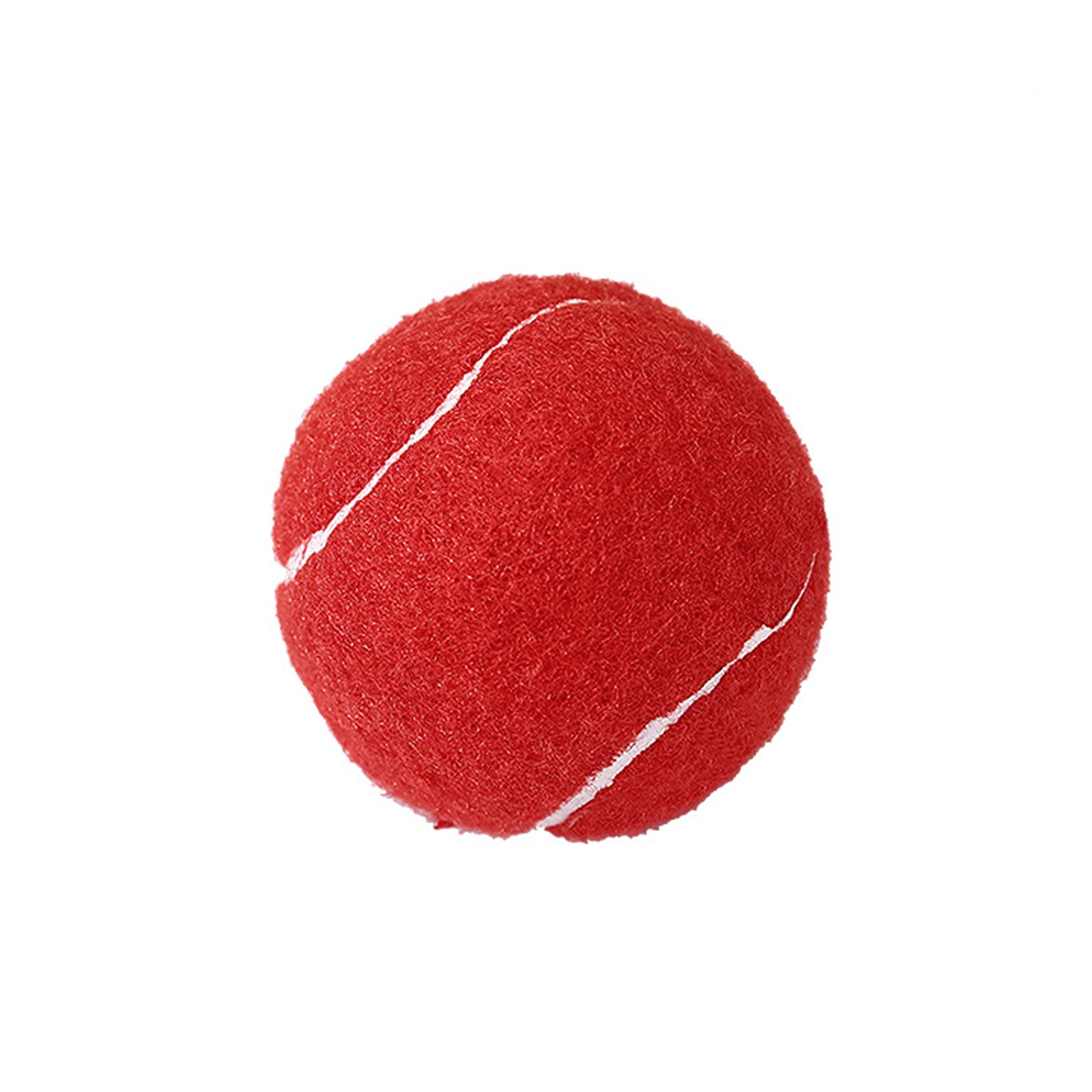 Pet Fetch Toy Tennis Ball 4