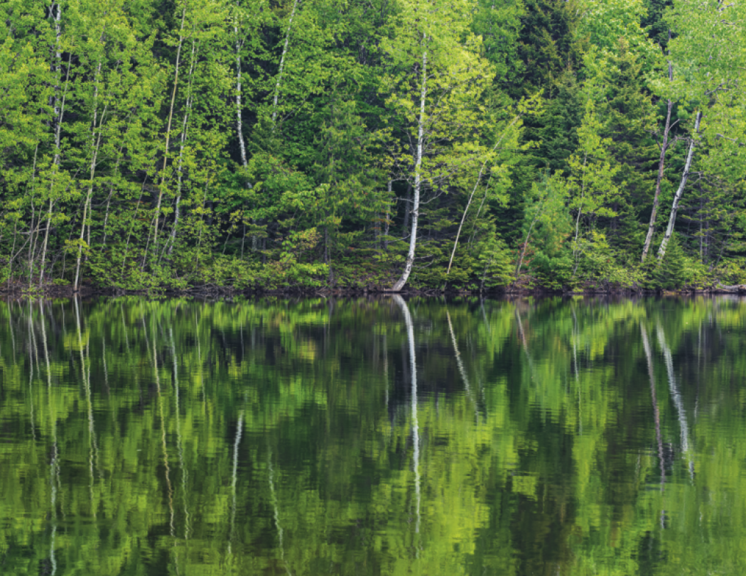 Good Value™ Canadian National Parks - Spiral Calendar 59