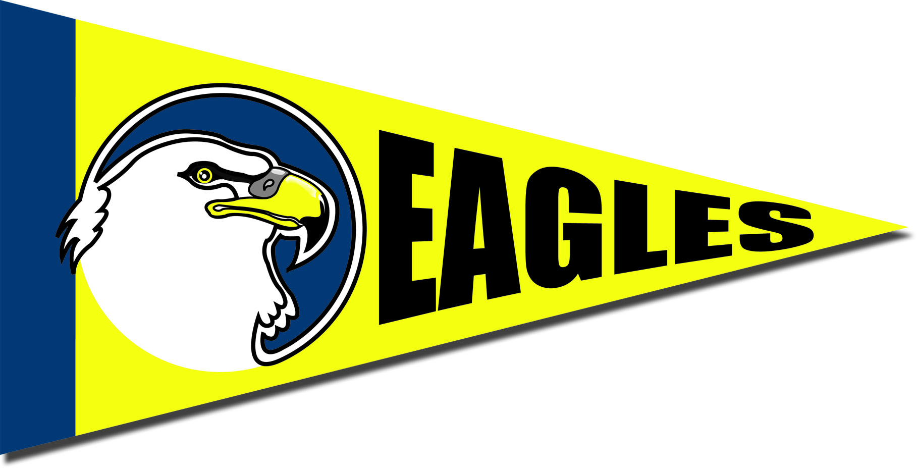 Ultra-Removable Spot Color Vinyl Pennant Booster Decal 3