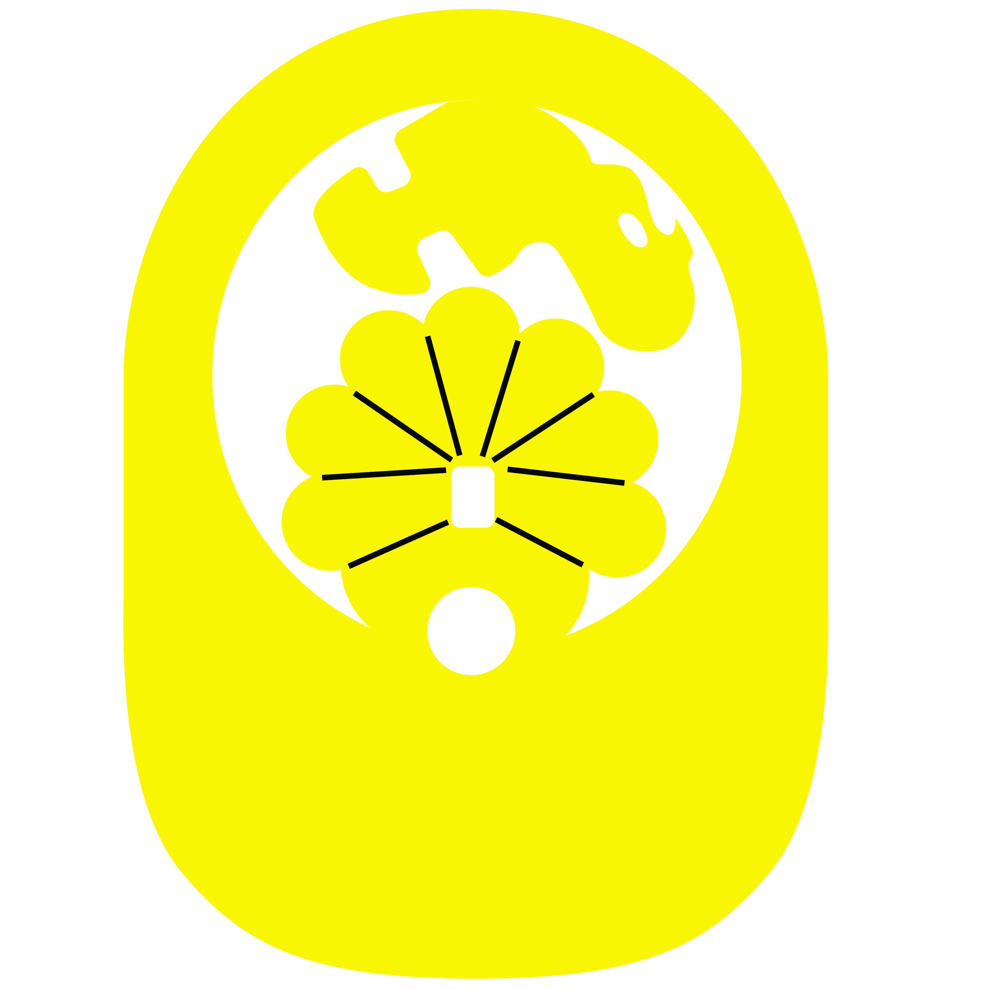 Turkey PopUp Visor 8