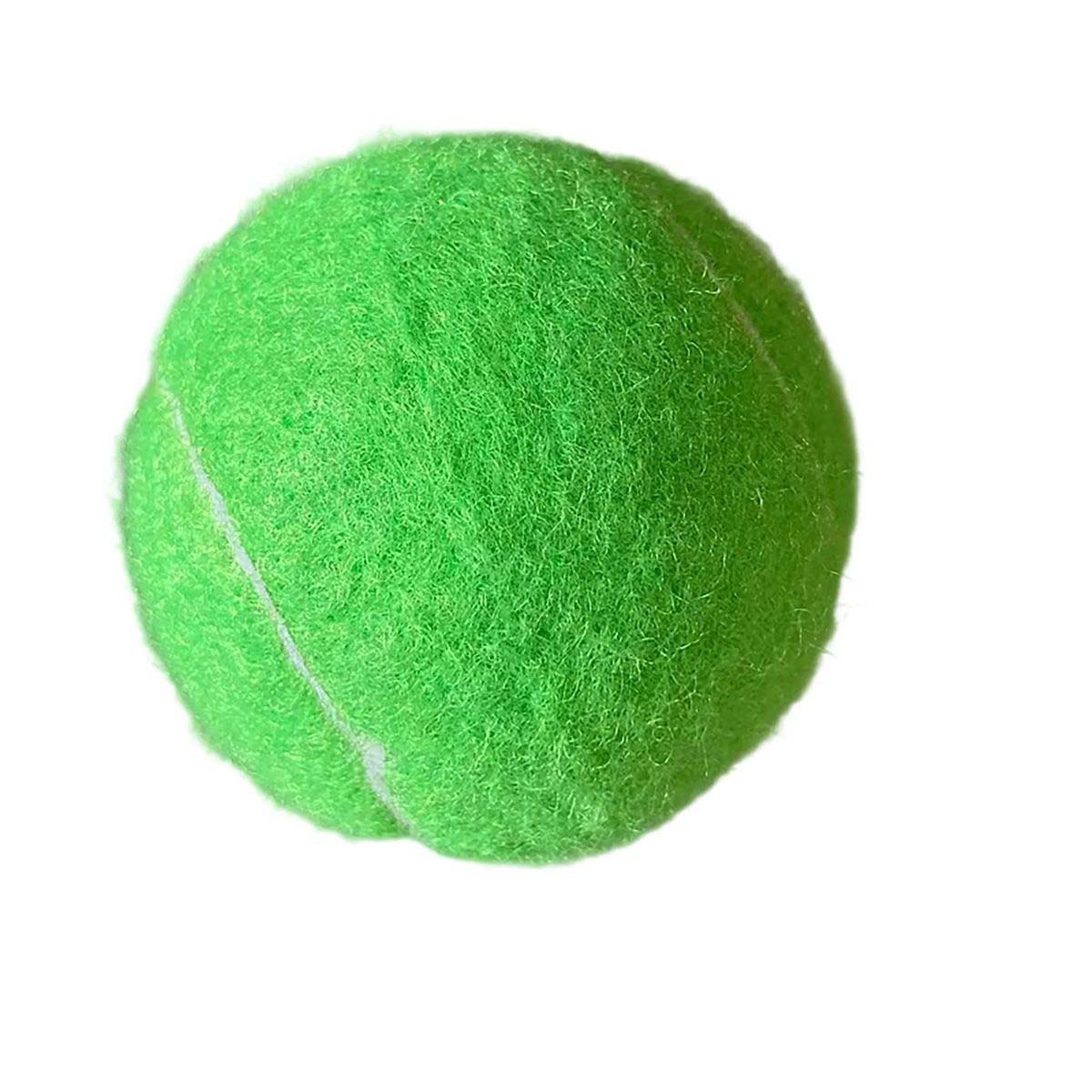 2.5 Inch Rubber Dog Ball for Training and Fetch 9