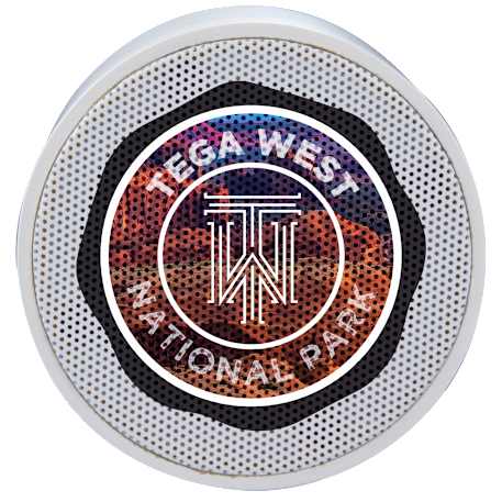 BuzzTurn Recycled Bluetooth Speaker 26