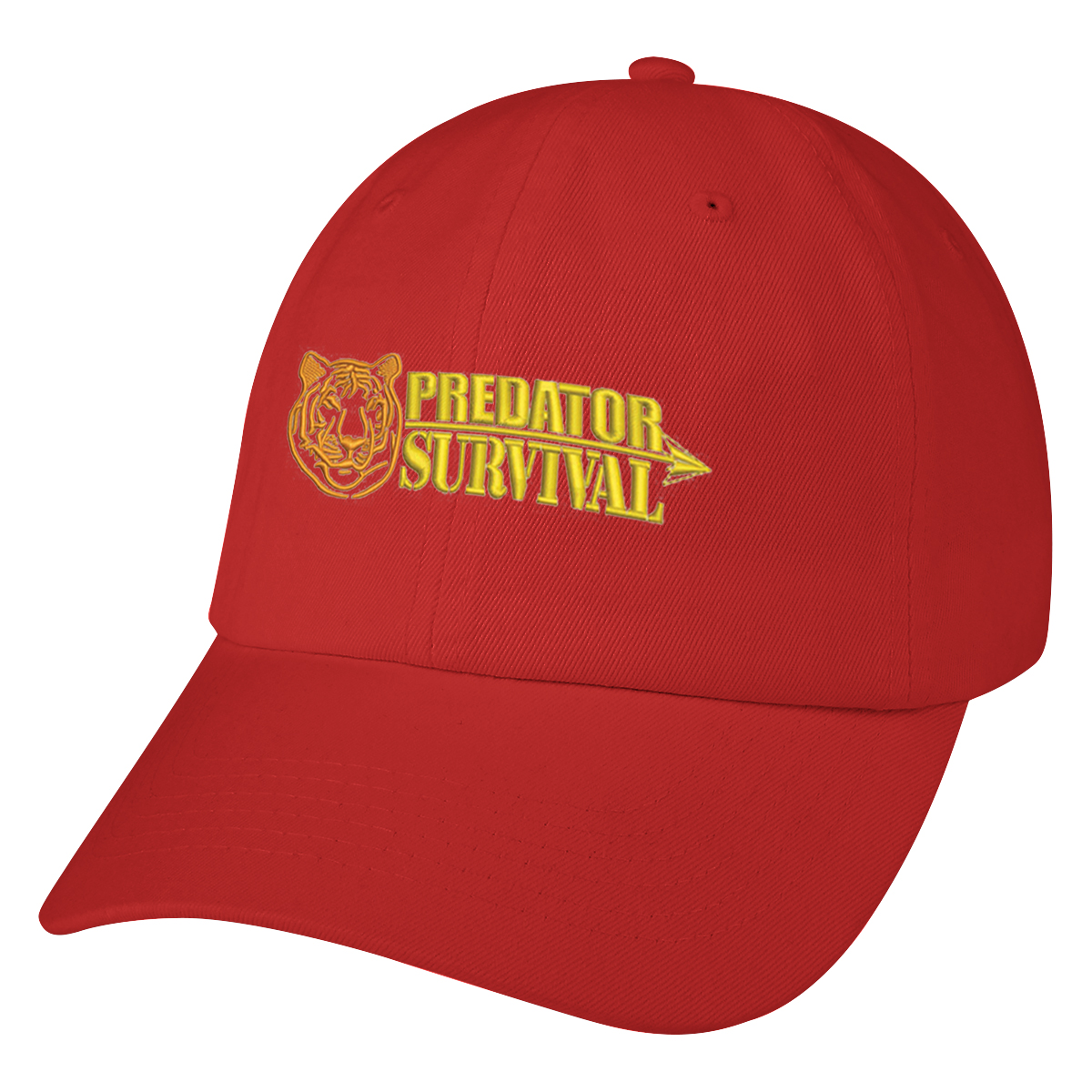Washed Cotton Cap 25