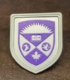 Lapel Pins 1