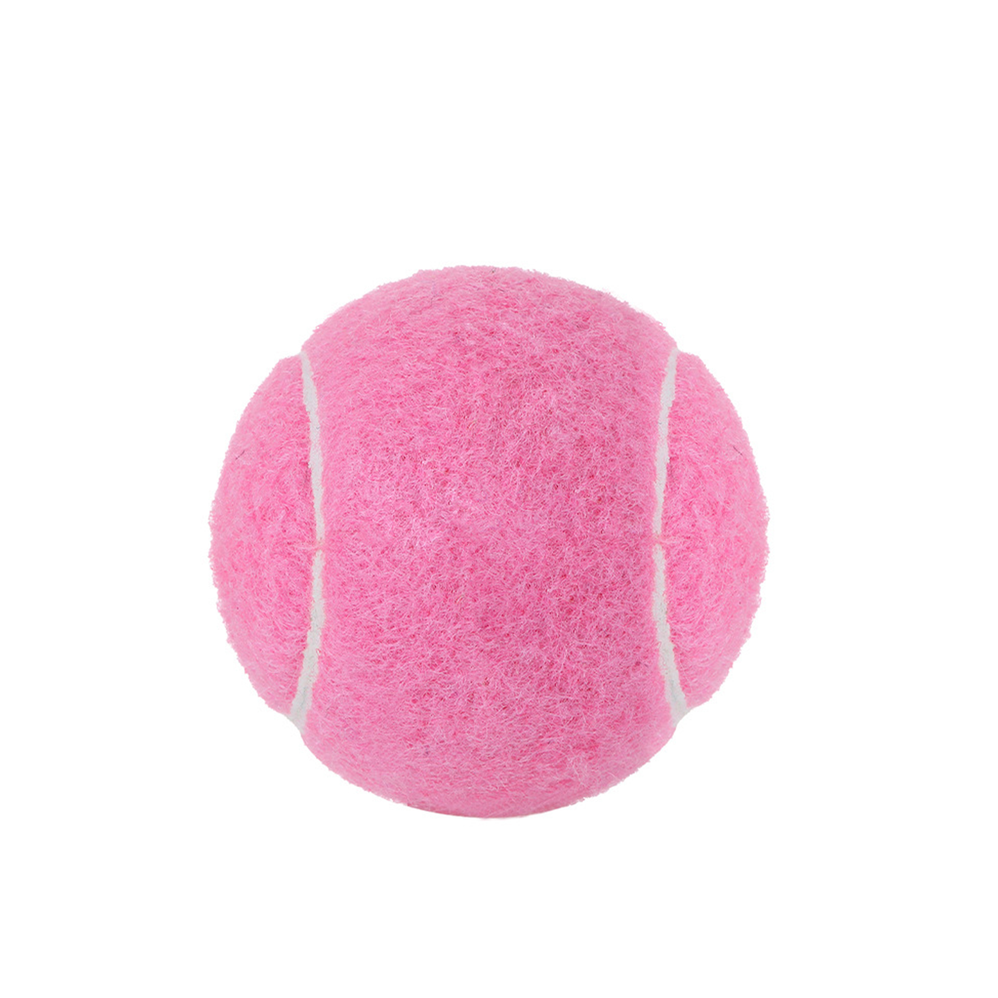 Pet Training Tennis Ball 2.5" Diameter 12