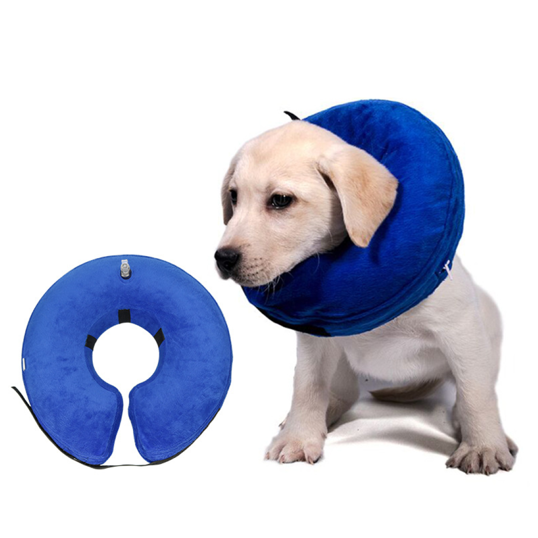 Inflatable Pet Cone Collar 1
