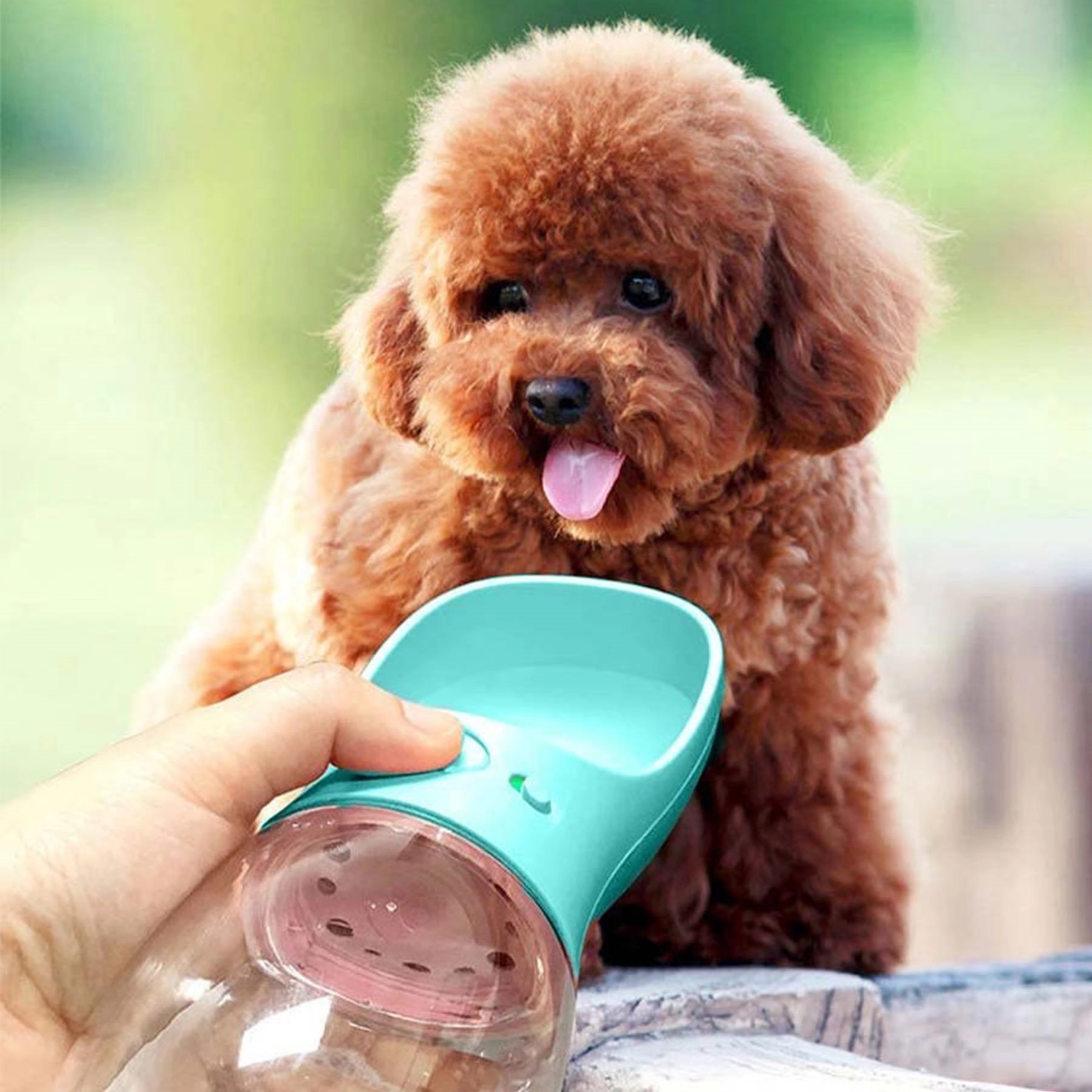 Portable Pet Water Bottle 5