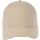 Unisex DOMINATE Ballcap 12