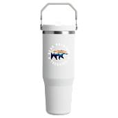 Stanley IceFlow™ 2.0 Flip Straw Tumbler 30oz 92