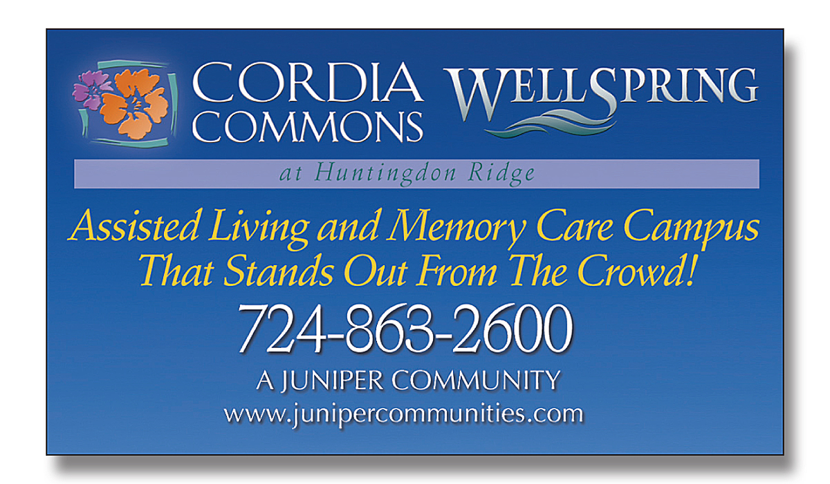 Magnet - 2.0625x3.5625 Square Corner - 25 Mil 3