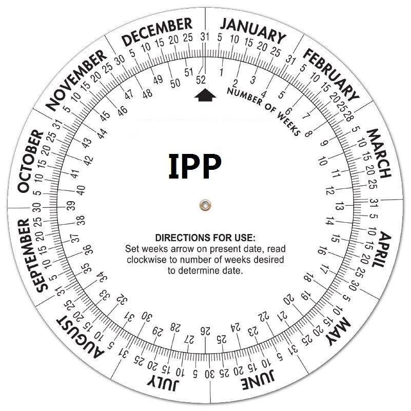 Plastic Date Finder Wheel Calculator 1