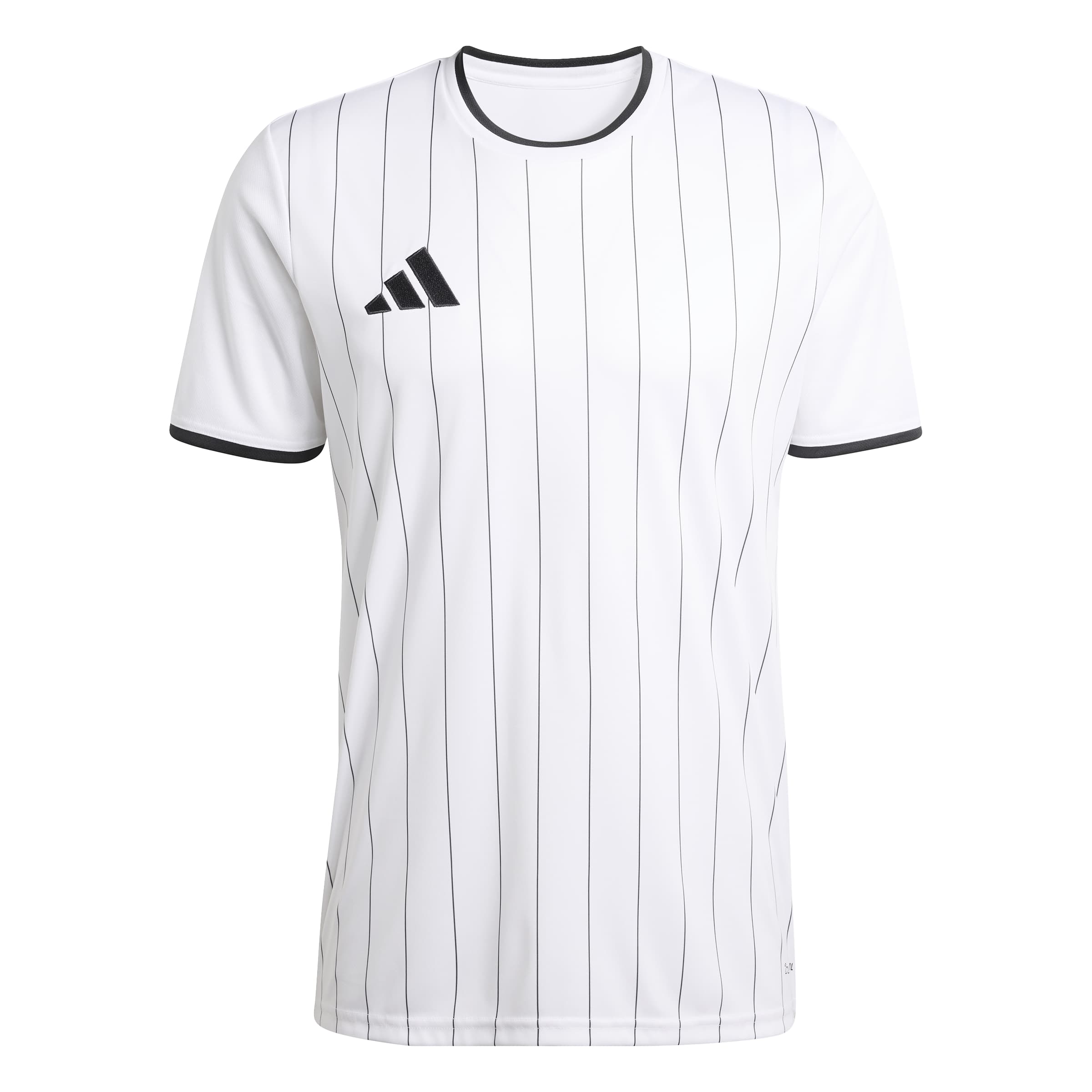 Entrada26 Graphic Jersey 15