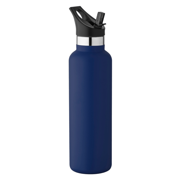 20 oz Basecamp Mesa Tundra Bottle with Screw Top and Flip-Top Straw Lid 171