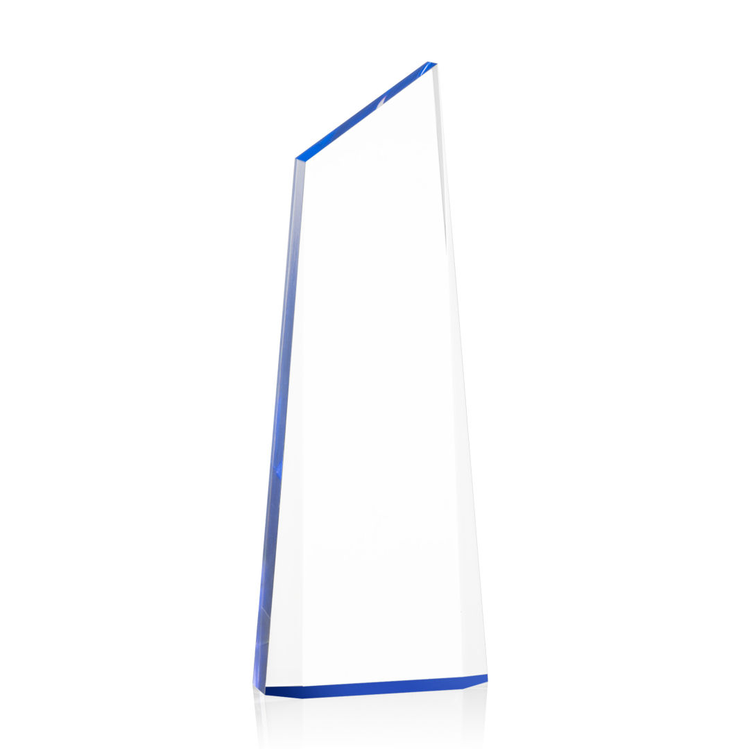 Hudson VividPrint™ Award - Blue 5
