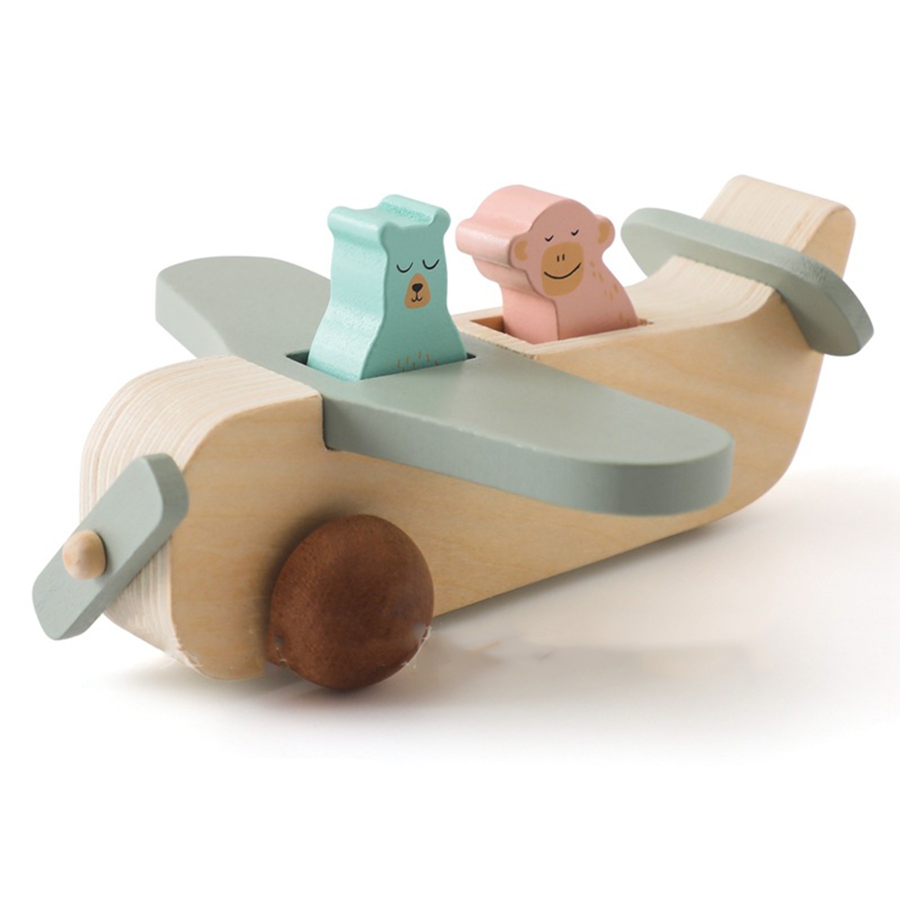 Wooden Passenger Aircraft 1