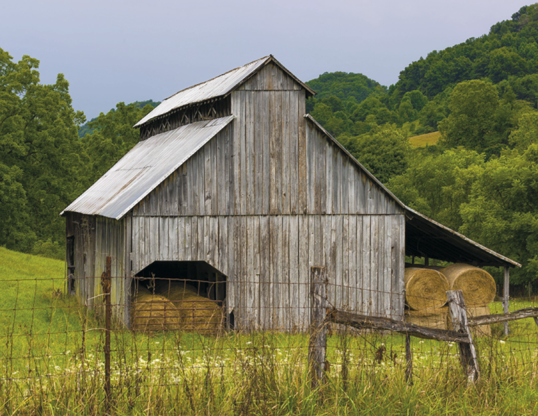 Good Value™ Agriculture - Stapled Calendar 12