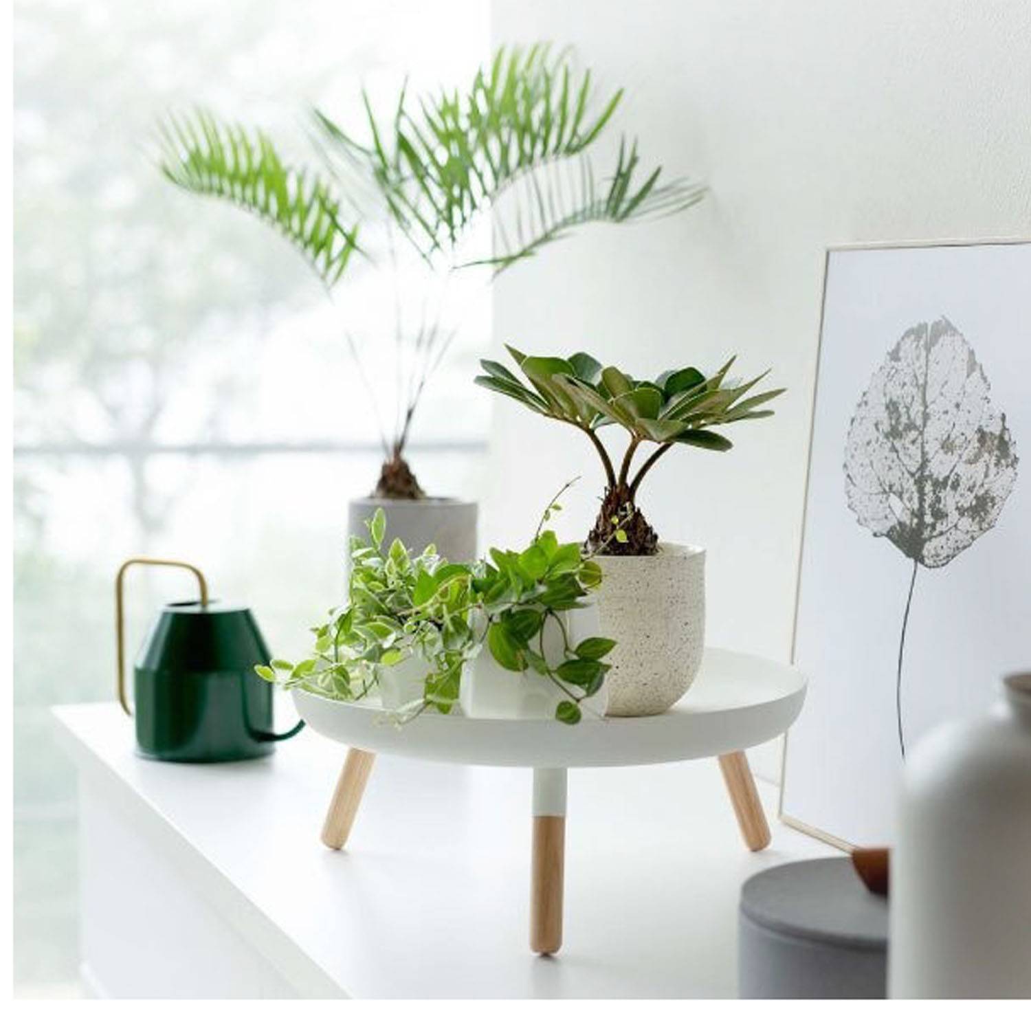 Modern Simple Succulent Plant Tray Base Shelf 3